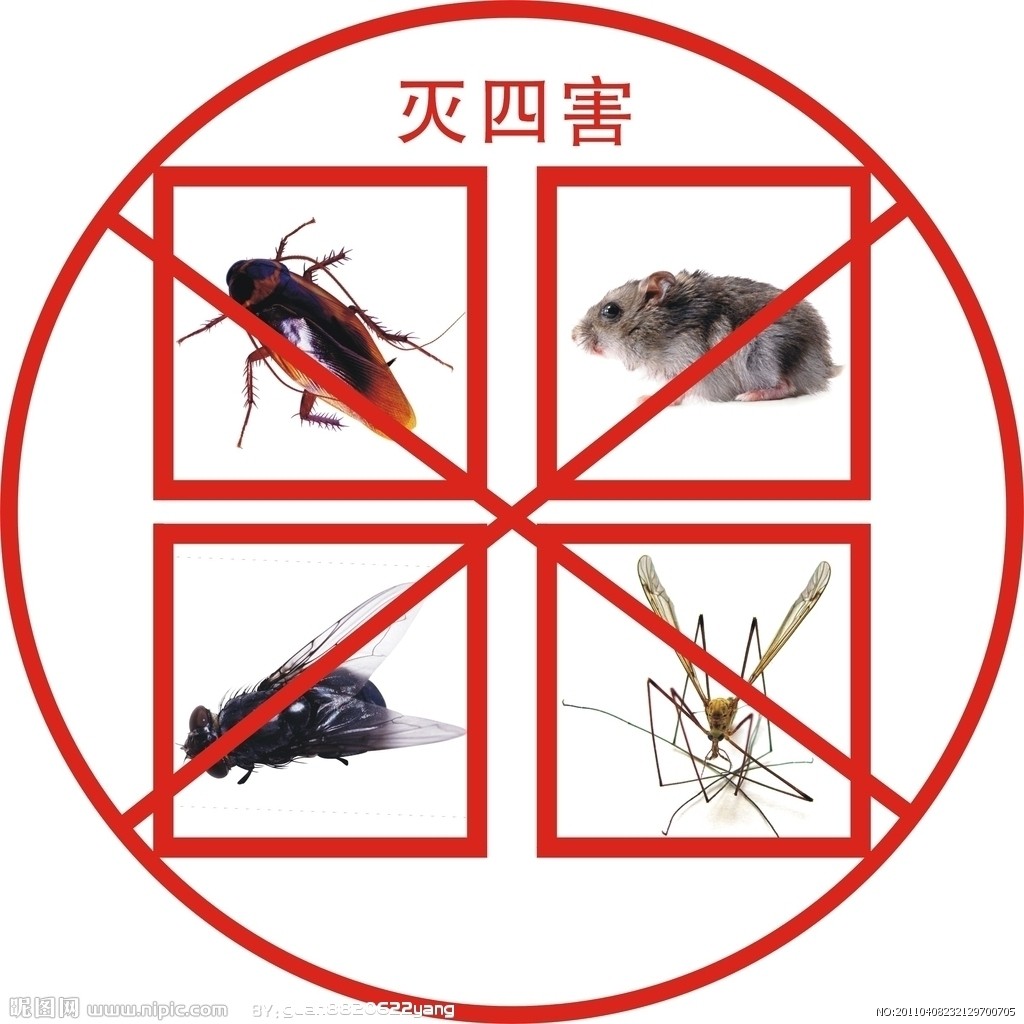 羅平除鼠公司：專(zhuān)業(yè)除鼠，讓您的家園更安全