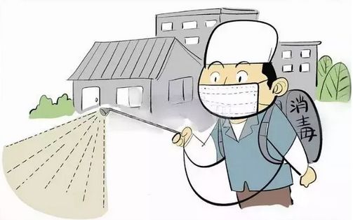 玉溪除蟑螂公司：專(zhuān)業(yè)、高效，為您解決蟑螂難題