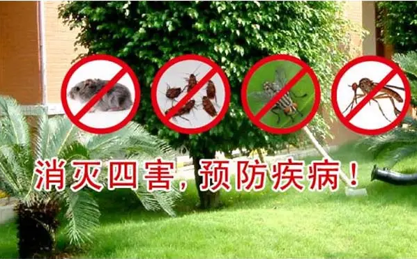 曲靖除鼠公司：一站式解決鼠患問題，讓您的生活更美好