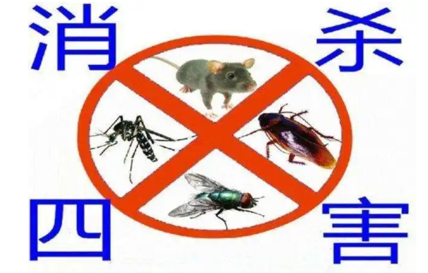 四害消殺需要知道的幾件事